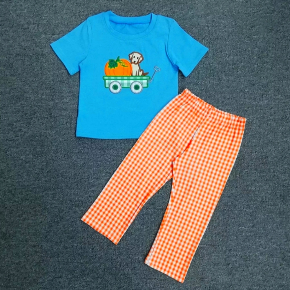 Dog & Wagon Pumpkin Outfit